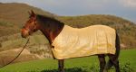Predám sieťkovú deku proti hmyzu pre kone