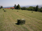 Balikovane seno – fotka 3