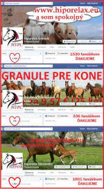 Lucerna, sladový kvet, iné granule pre kone – fotka 2