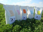Lucerna, sladový kvet, iné granule pre kone – fotka 3